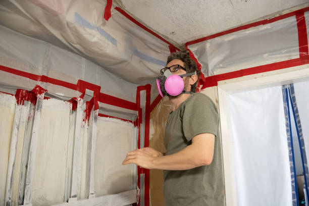 Mold Remediation for Rental Properties in Dillsburg, PA